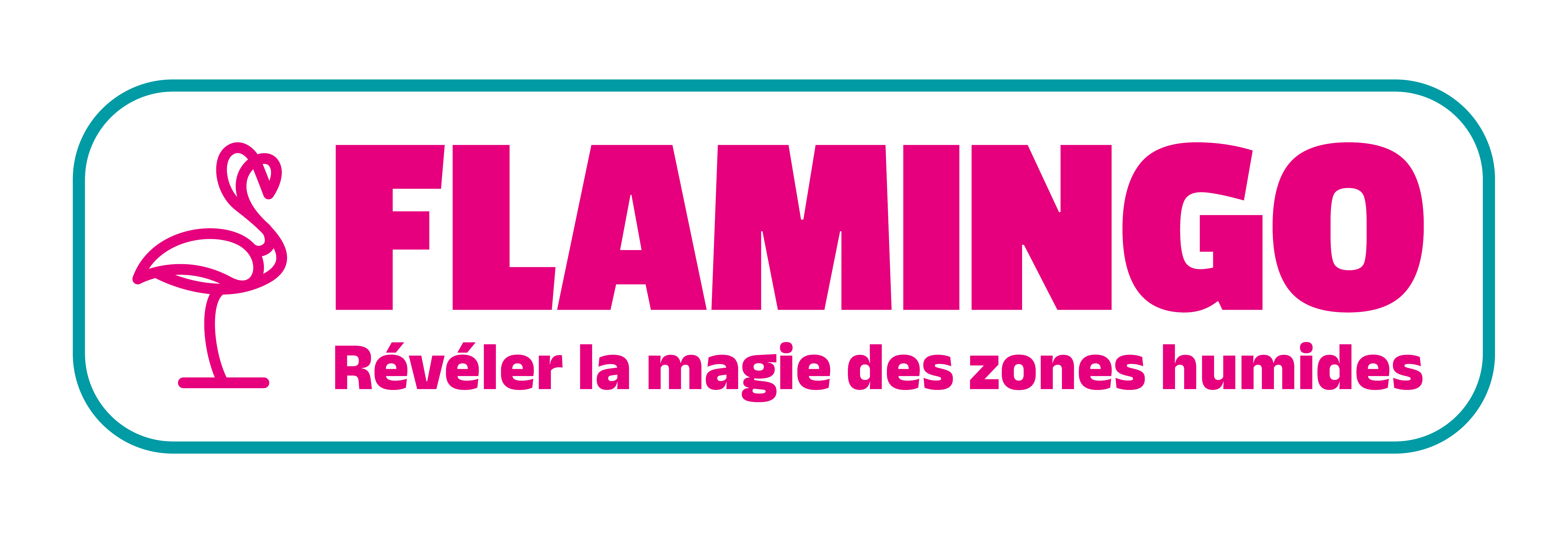 Flamingo